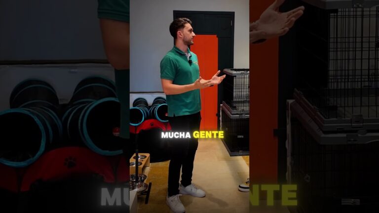 Gu&iacute;a para Comprar Productos para Mascotas en Har&iacute;a