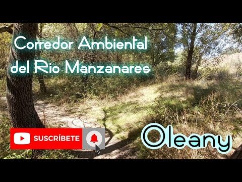 Gu&iacute;a para Comprar Maletas en San Bartolom&eacute;