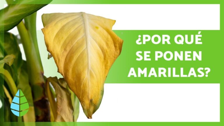 Protecci&oacute;n Legal para Ciclistas en Har&iacute;a