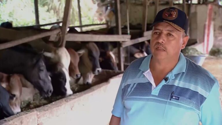 Gu&iacute;a para Comprar Productos de Cultivo Hidrop&oacute;nico en Tinajo
