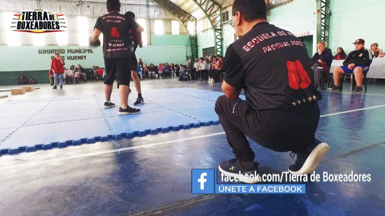 Academias de Boxeo en San Bartolom&eacute;: Gu&iacute;a Completa
