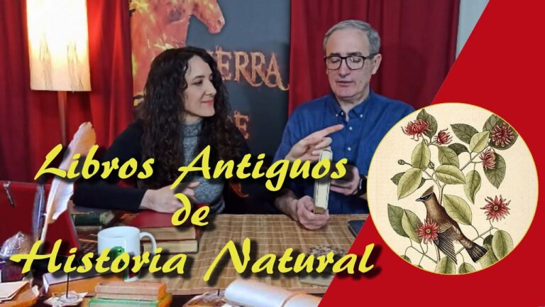 Descubriendo Libros Antiguos en Nazaret: Gu&iacute;a de Localizaci&oacute;n