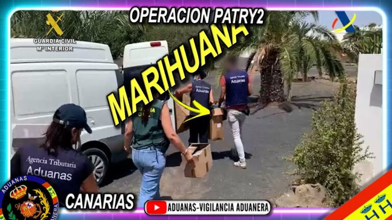 Asociaciones de Jardiner&iacute;a en Teguise: D&oacute;nde Encontrarlas